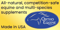 Ortho Equine